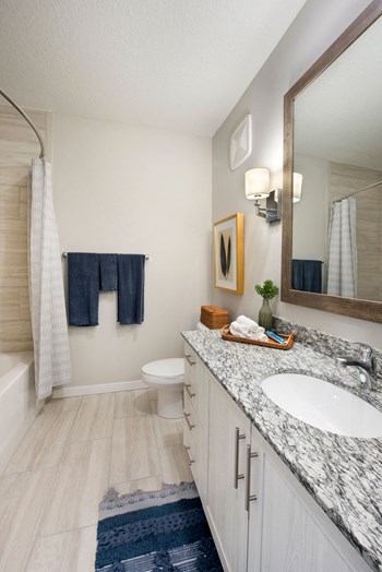 Updated Bathrooms at Town Trelago, Florida